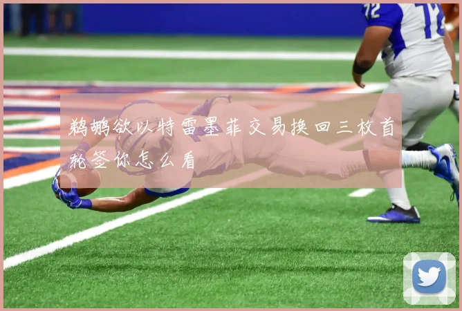 鹈鹕欲以特雷墨菲交易换回三枚首轮签你怎么看